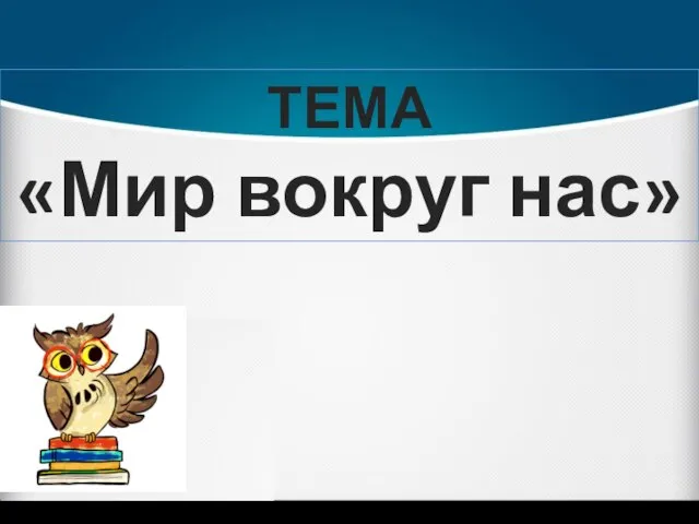 ТЕМА «Мир вокруг нас»