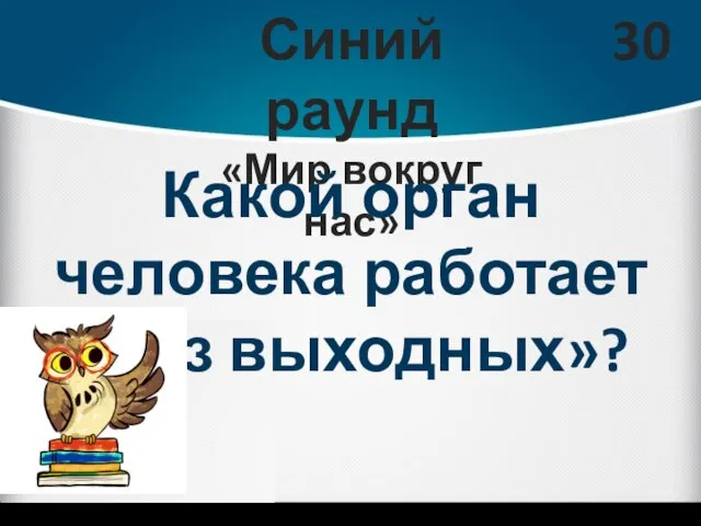 Синий раунд «Мир вокруг нас» 30 Какой орган человека работает «без выходных»?