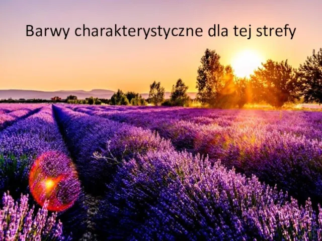 Barwy charakterystyczne dla tej strefy