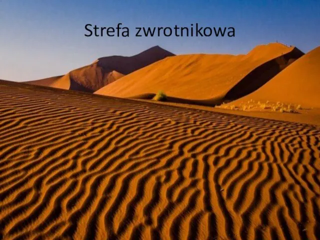 Strefa zwrotnikowa