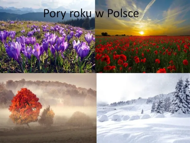 Pory roku w Polsce