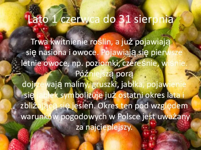 Lato 1 czerwca do 31 sierpnia Trwa kwitnienie roślin, a już pojawiają