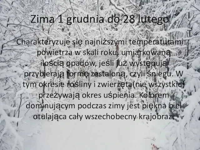 Zima 1 grudnia do 28 lutego Charakteryzuje się najniższymi temperaturami powietrza w