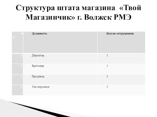 Структура штата магазина «Твой Магазинчик» г. Волжск РМЭ