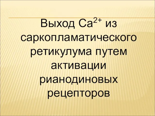 Выход Са2+ из саркопламатического ретикулума путем активации рианодиновых рецепторов