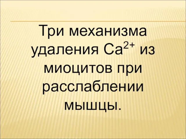 Три механизма удаления Са2+ из миоцитов при расслаблении мышцы.