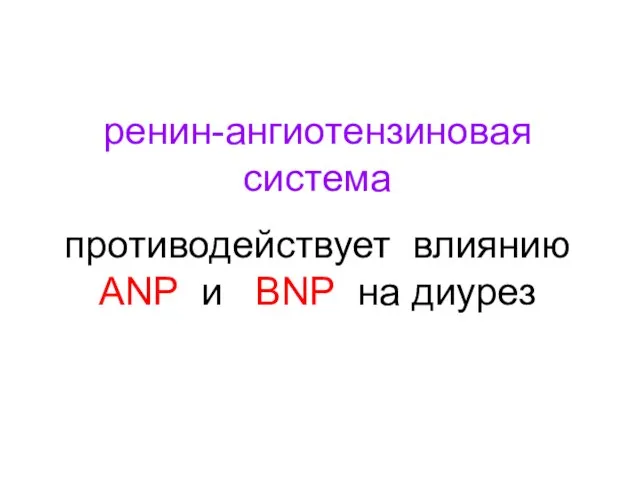 ренин-ангиотензиновая система противодействует влиянию ANP и BNP на диурез