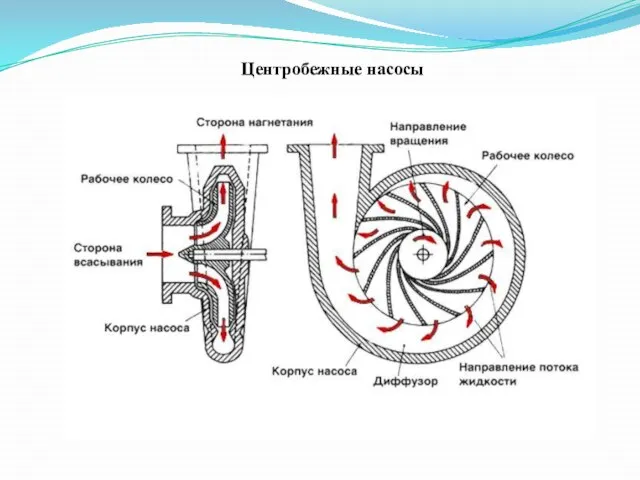 Центробежные насосы