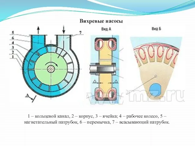 Вихревые насосы 1 – кольцевой канал, 2 – корпус, 3 – ячейка;