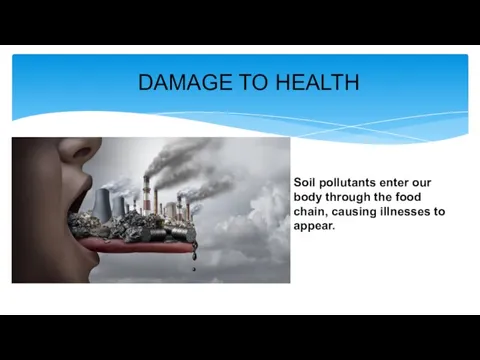 DAMAGE TO HEALTH Soil pollutants enter our body through the food chain, causing illnesses to appear.
