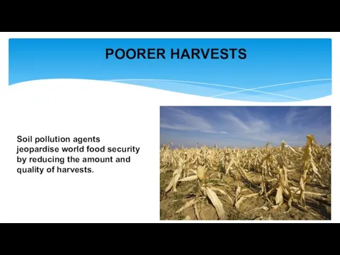 POORER HARVESTS Soil pollution agents jeopardise world food security by reducing the