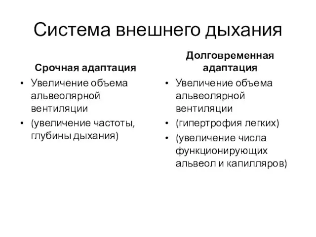 Система внешнего дыхания Срочная адаптация Увеличение объема альвеолярной вентиляции (увеличение частоты,глубины дыхания)