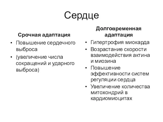 Сердце Срочная адаптация Повышение сердечного выброса (увеличение числа сокращений и ударного выброса)