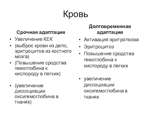 Кровь Срочная адаптация Увеличение КЕК (выброс крови из депо, эритроцитов из костного