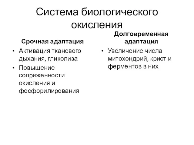 Система биологического окисления Срочная адаптация Активация тканевого дыхания, гликолиза Повышение сопряженности окисления