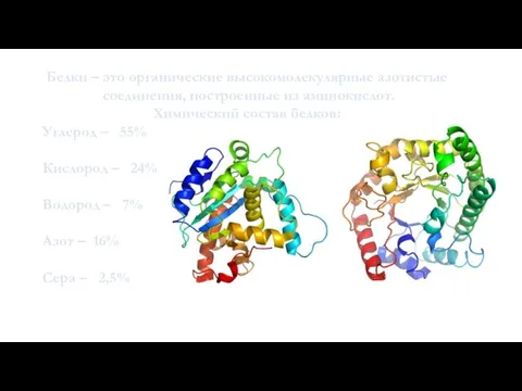 Белки – это органические высокомолекулярные азотистые соединения, построенные из аминокислот. Химический состав