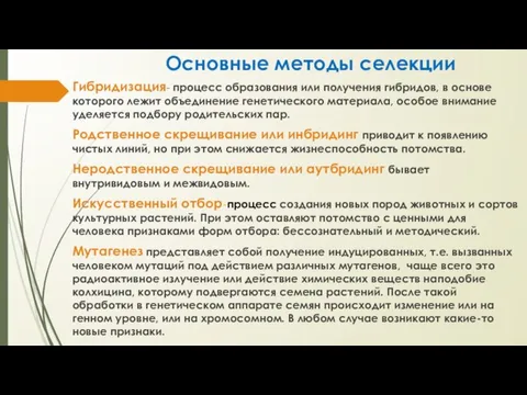 Основные методы селекции Гибридизация- процесс образования или получения гибридов, в основе которого