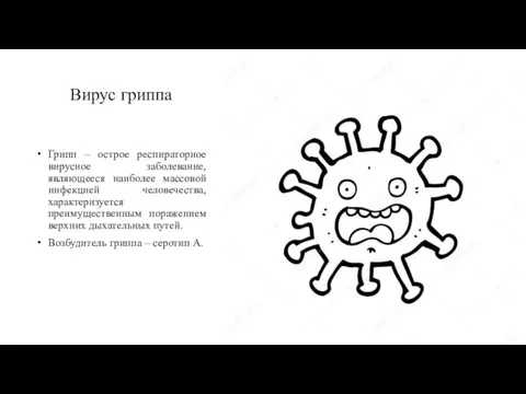 Вирус гриппа Грипп – острое респираторное вирусное заболевание, являющееся наиболее массовой инфекцией