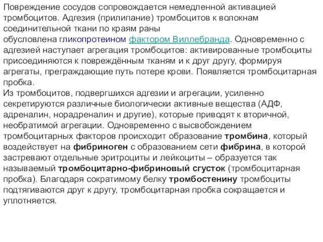 Повреждение сосудов сопровождается немедленной активацией тромбоцитов. Адгезия (прилипание) тромбоцитов к волокнам соединительной