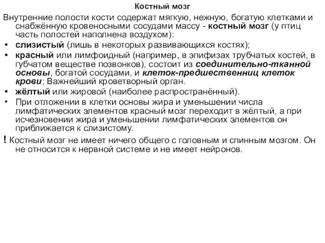 Костный мозг Внутренние полости кости содержат мягкую, нежную, богатую клетками и снабжённую