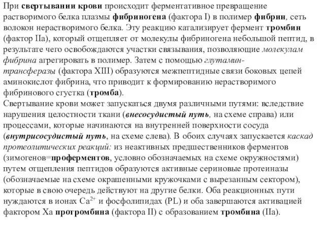 При свертывании крови происходит ферментативное превращение растворимого белка плазмы фибриногена (фактора I)