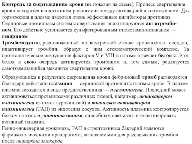 Контроль за свертыванием крови (не показан на схеме). Процесс свертывания крови находится