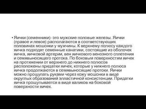 Яички (семенники)- это мужские половые железы. Яички (правое и левое) располагаются в