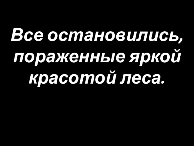 Все остановились, пораженные яркой красотой леса.