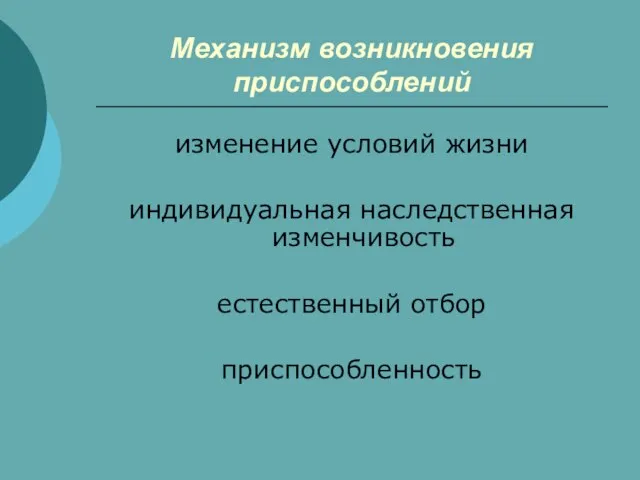 Механизм возникновения приспособлений изменение условий жизни индивидуальная наследственная изменчивость естественный отбор приспособленность