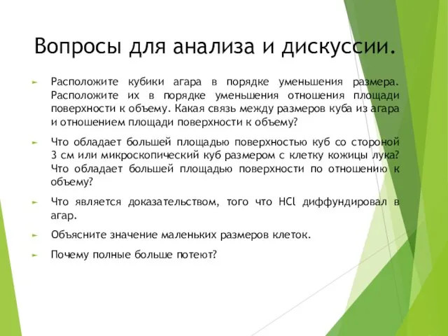 Вопросы для анализа и дискуссии. Расположите кубики агара в порядке уменьшения размера.