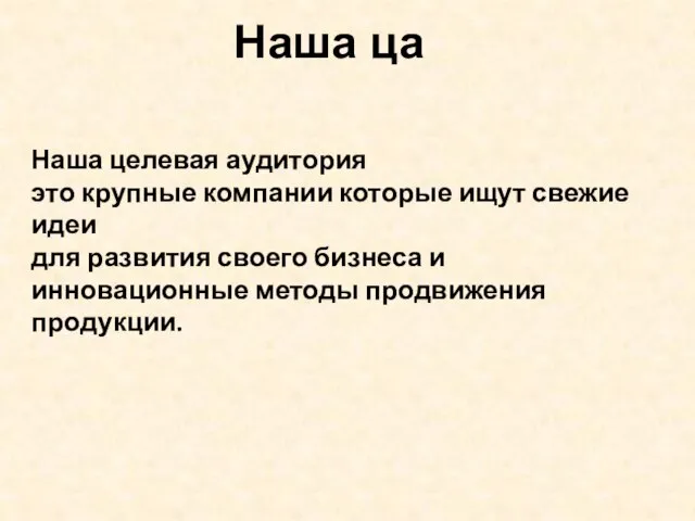 Наша целевая аудитория это крупные компании которые ищут свежие идеи для развития