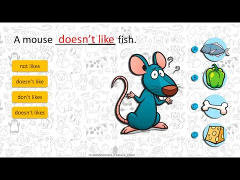 A mouse ______ fish. not likes doesn’t like don’t likes doesn’t likes doesn’t like