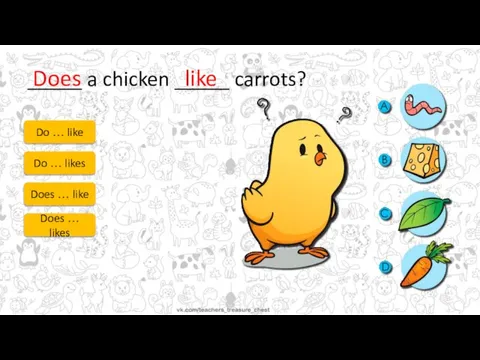 _____ a chicken _____ carrots? Do … like Do … likes Does