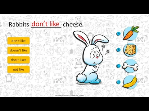 Rabbits _________ cheese. don’t like doesn’t like don’t likes not like don’t like