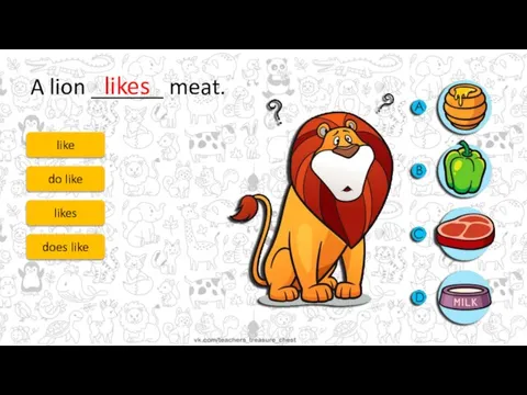 A lion ______ meat. like do like likes does like likes