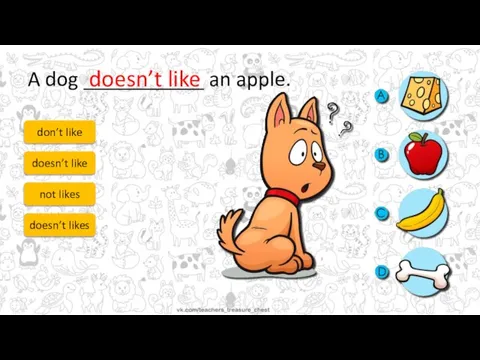 A dog ___________ an apple. don’t like doesn’t like not likes doesn’t likes doesn’t like
