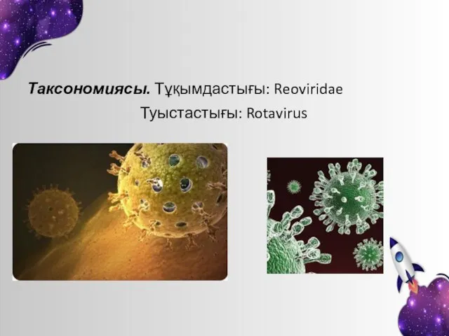 Таксономиясы. Тұқымдастығы: Reoviridae Туыстастығы: Rotavirus