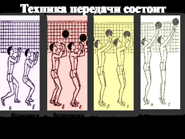 Исходного положения стойки Встречного движение рук Амортизации Направление мяча (вылет) Техника передачи состоит