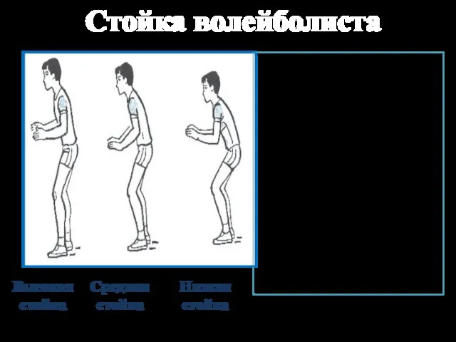 Ноги расположены на ширине плеч и согнуты в коленных суставах. Одна нога