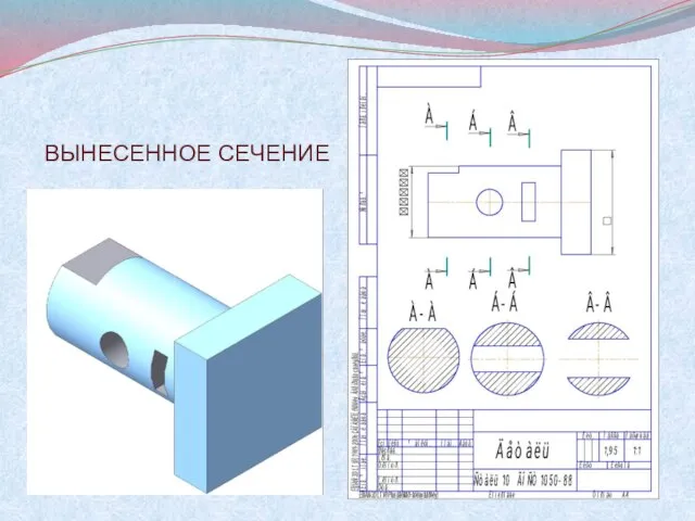 ВЫНЕСЕННОЕ СЕЧЕНИЕ