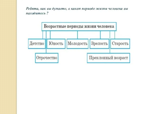 Ребята, как вы думаете, в каком периоде жизни человека вы находитесь ?