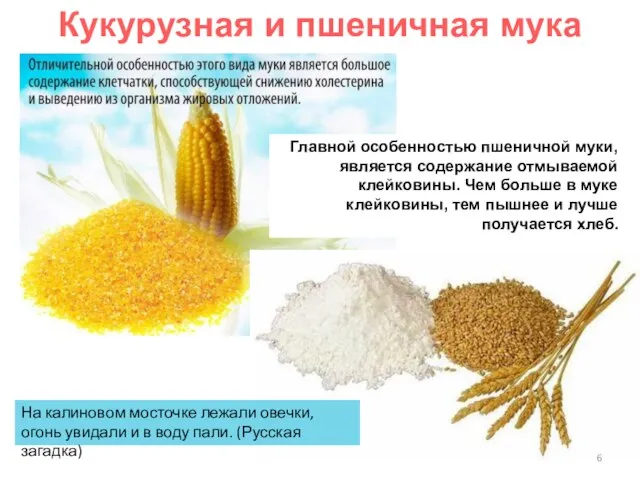 Кукурузная и пшеничная мука Главной особенностью пшеничной муки, является содержание отмываемой клейковины.