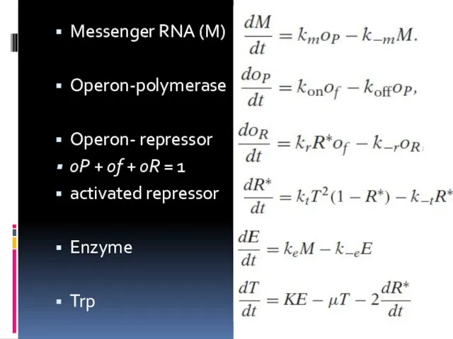 Messenger RNA (M) Operon-polymerase Operon- repressor oP + of + oR =