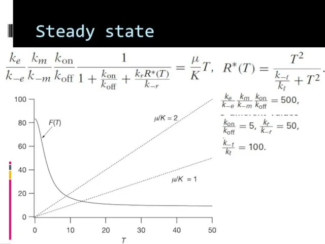 Steady state