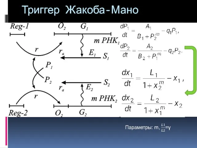 Триггер Жакоба-Мано