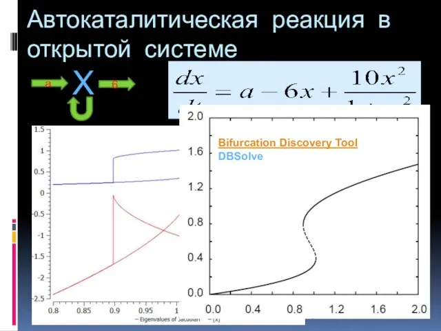 Автокаталитическая реакция в открытой системе Bifurcation Discovery Tool DBSolve X a 6