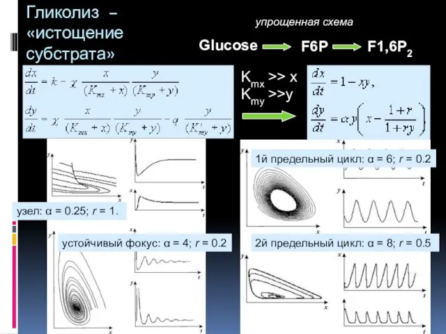 Гликолиз – «истощение субстрата» Glucose F6P F1,6P2 упрощенная схема Kmx >> x