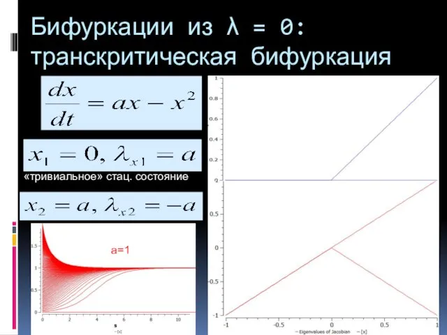 Бифуркации из λ = 0: транскритическая бифуркация «тривиальное» стац. состояние a=1