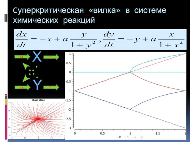 Cуперкритическая «вилка» в системе химических реакций X a 1 Y 1 a