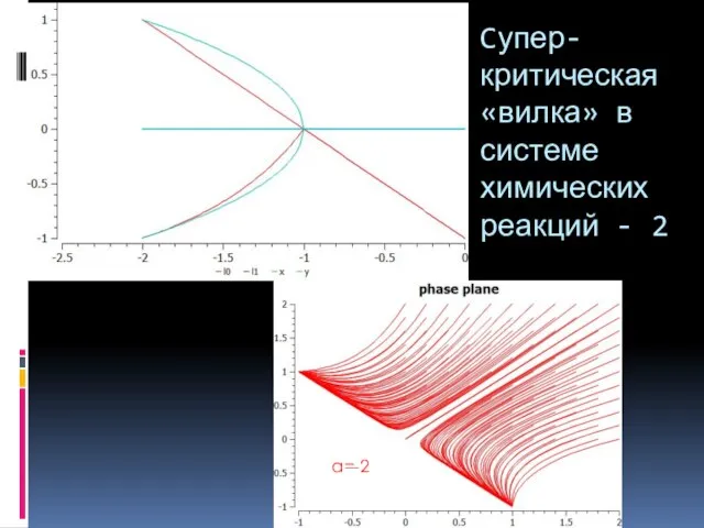 Cупер-критическая «вилка» в системе химических реакций - 2 a=-2